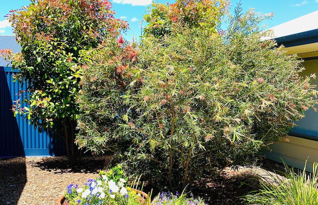 Eastend Studio Apartments - Foto 79