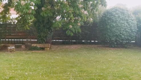 Maison d'Alex - Foto 3, Garden view