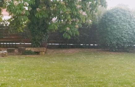 Maison d'Alex - Foto 3