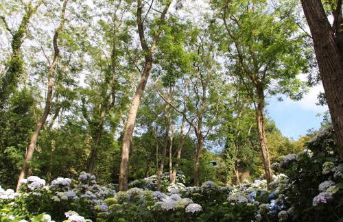 Apartamentos Mar y Mar Agroturismo - Foto 31