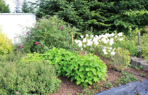 Ferienhaus Däschinger - Foto 75