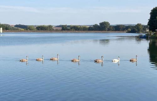 Camping POD mit Seeblick - Foto 13
