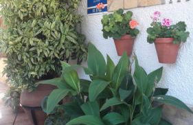 Apartamentos Sevilla - Foto 44