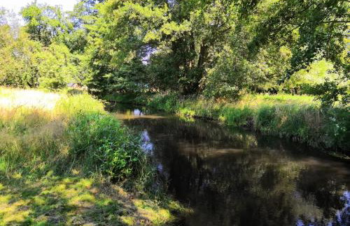 StorchenHof - Foto 48