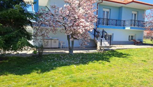 Dinaki apartment - Foto 2