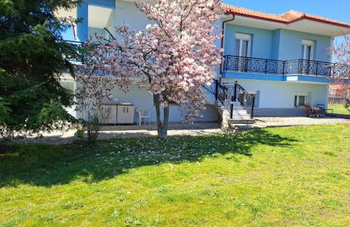 Dinaki apartment - Foto 2