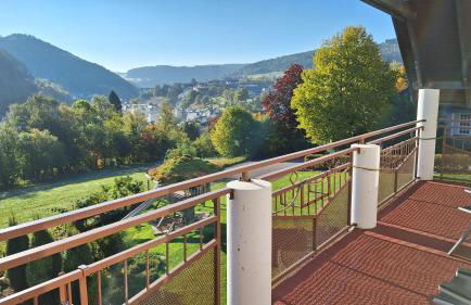 Haus Alexandra inkl MeineCard Plus - Foto 39