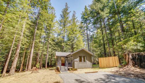 Peaceful Mendocino Cottage Surrounded By Redwoods - Foto 3