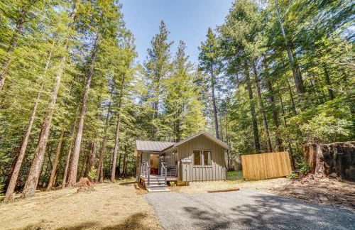 Peaceful Mendocino Cottage Surrounded By Redwoods - Photo 3