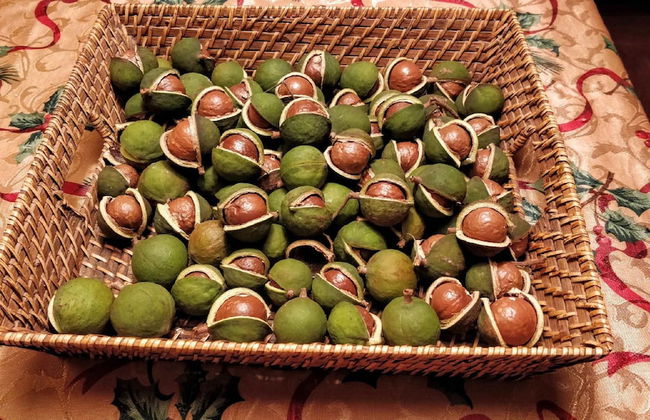 Casale Della Pergola With Cottage Sugarcane Pool - Foto 49