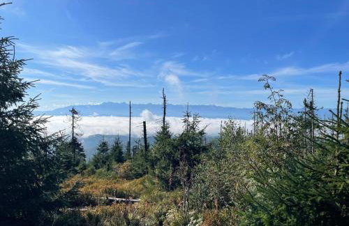 Szlak By Trafił - Photo 77