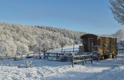 La roulotte de Jane - Foto 40