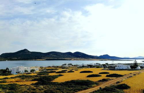 Gio st Gio apartment 2 Antiparos st Giorgio - Foto 17