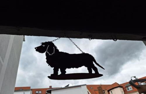 Gästewohnung Kleinstadtperle in Pritzwalk - Foto 16