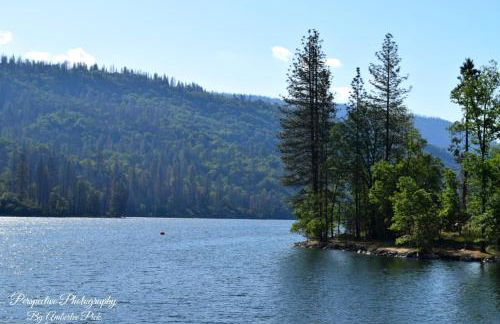 Yosemite Foothill Retreat - Private Guest Suite #3 - Foto 36