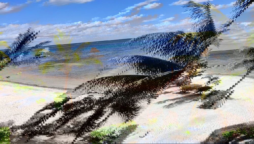 Indigo Belize 1b 3 Bedroom Condo by RedAwning - Foto 1, Imagen principal