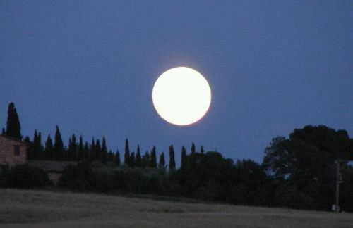 Molino della Tuoma - Foto 56