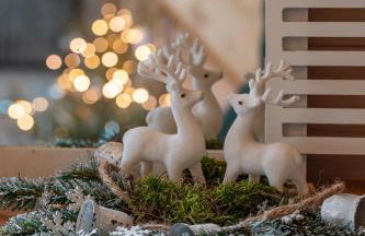 Pod Żurawiem Urokliwy domek na Kaszubach - Foto 80