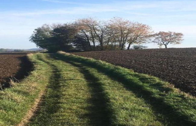 Walk to Pointe du Raz & Beach - Foto 33