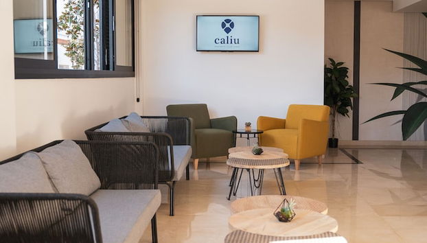 Beatrix 2000 - Caliu apartments - Foto 2, Reception