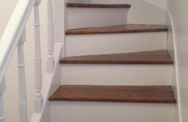 Les violettes - Foto 15