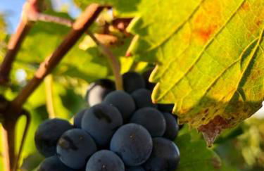 Maison avec cour L'atelier - Foto 12