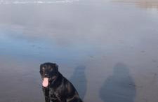 Small cottage in Stratton, Bude - Foto 13