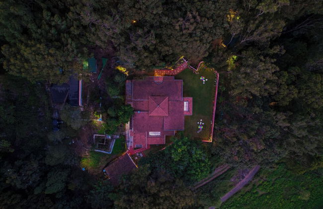 Rayne Forest - Foto 28