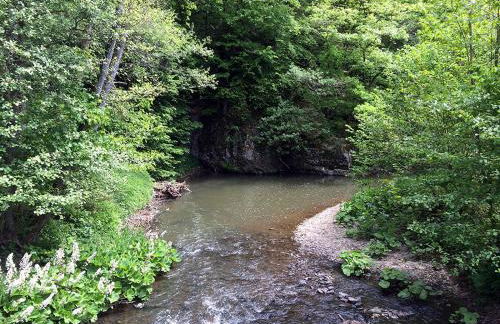Der Eifel Perle Manderscheid - Foto 35