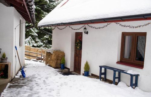 Chata Pod Lasem - Foto 59