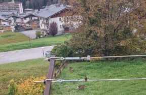 Casa PANASTRE - Foto 13