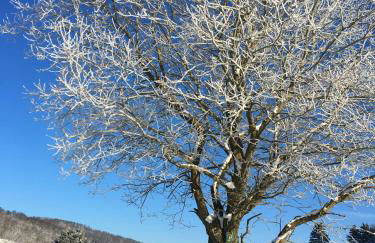 Wie im Himmel - Photo 27