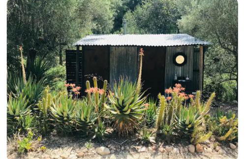 rolling home - Foto 5