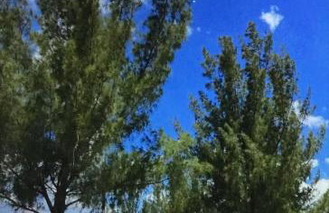 Sobrado Charmoso Beach House com piscina - Foto 69