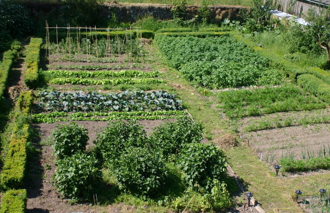 Cormiston Farm - Foto 15