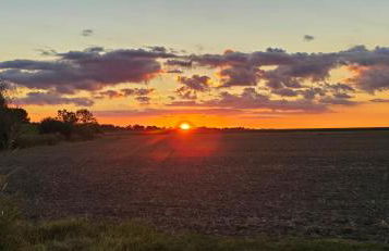 Oase am Deich - Photo 13