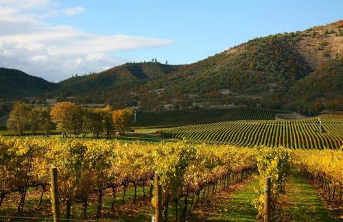 Lovely Home 30MIN to Berkeley, SF, Napa - Foto 31