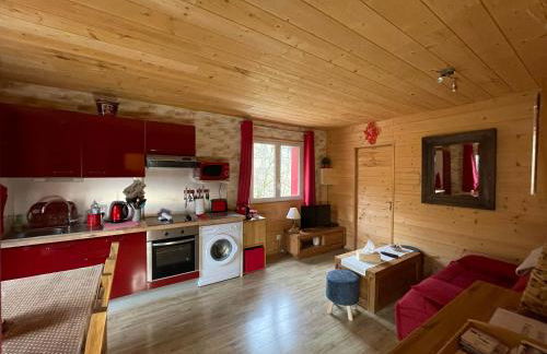 Superbe T3 neuf en bord de rivière près d'Annecy - Photo 19