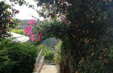 Villa Del Conte - Foto 54