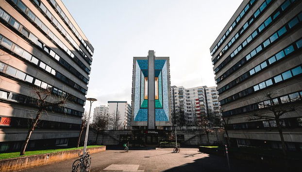 Explore el arte y la cultura de Estrasburgo con un local - Foto 5