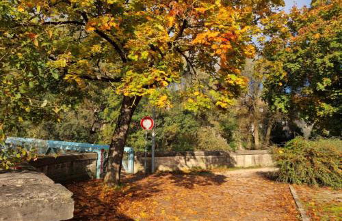 Cité de la Gastronomie - Foto 18
