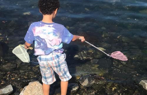 Pew With a View - Seafront Cottages - Foto 64