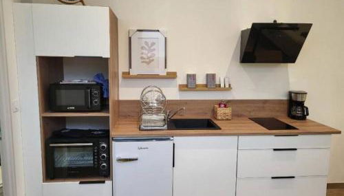 Studio centre d Arcis - Photo 3, stove