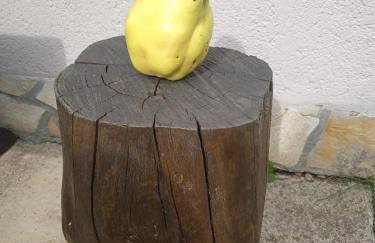 Holiday Home "Iris" near Plitvice Lakes - Foto 41