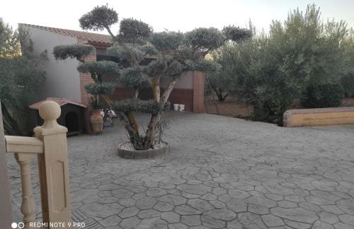 LOS ABUELOS - Foto 69