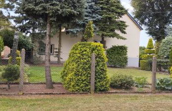 Pension Romann und Bauernferienhof - Foto 15