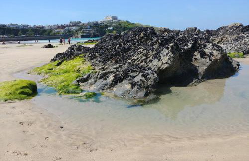 Meadow View Apartments are 2 and 3 bedroomed with private parking - Foto 110