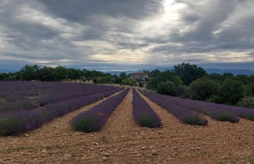 Gîtes Lou Limbert Plateau de Valensole - Foto 20