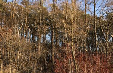 Moja Stay - wyjątkowy dom z sauną - Foto 46