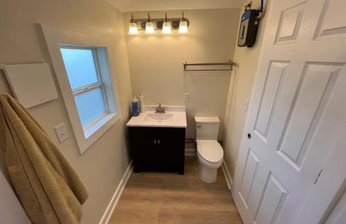 The little blue jay - Foto 9